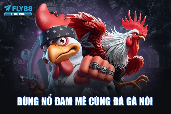 Bùng nổ đam mê cùng đá gà nòi Bùng nổ đam mê cùng đá gà nòi
