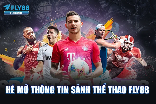 Hé mở thông tin sảnh thể thao Fly88 Hé mở thông tin sảnh thể thao Fly88