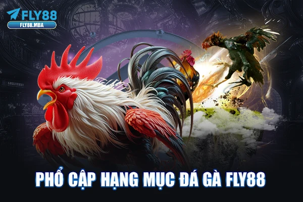 Phổ cập hạng mục Đá Gà Fly88 Phổ cập hạng mục Đá Gà Fly88
