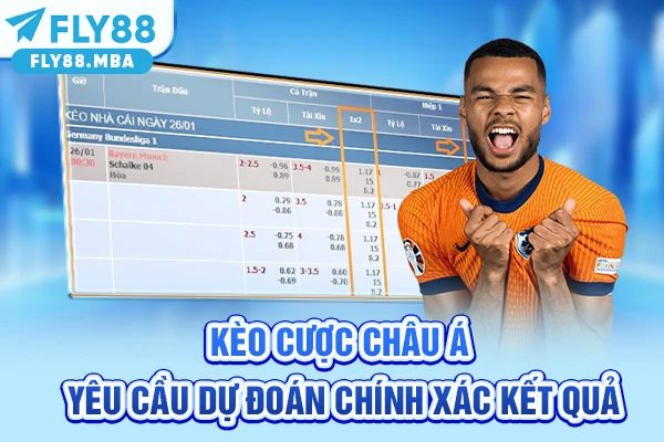 Kèo cược châu Á yêu cầu dự đoán chính xác kết quả Kèo cược châu Á yêu cầu dự đoán chính xác kết quả