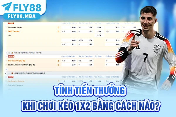 Tính tiền thưởng khi chơi kèo 1x2 bằng cách nào? Tính tiền thưởng khi chơi kèo 1x2 bằng cách nào?