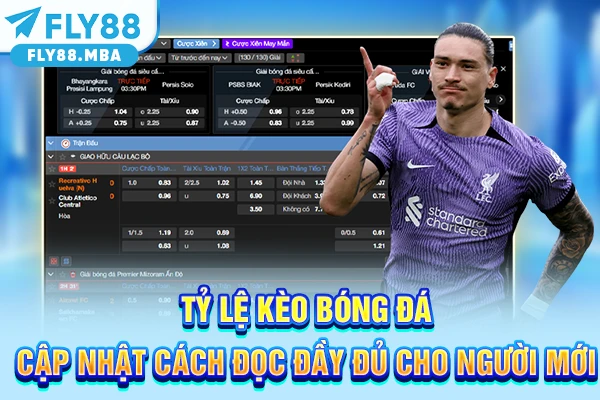 Tỷ Lệ Kèo Bóng Đá - Cập Nhật Cách Đọc Đầy Đủ Cho Người Mới