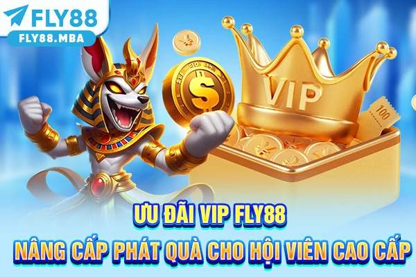 Ưu Đãi VIP FLY88 Nâng Cấp Phát Quà Cho Hội Viên Cao Cấp